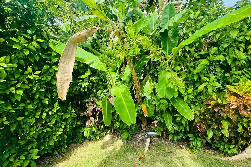 Private Garden Villa ラス・テレナス